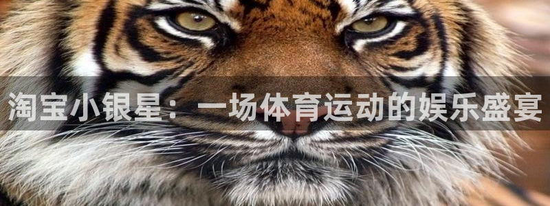 光速体育直播足球