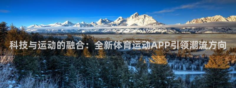 光速体育：科技与运动的融合：全新体育运动APP引领潮流方向