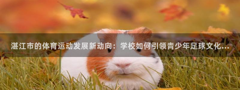 光速体育看NBA和cBA的软件：湛江市的体育运动发展新动向：学校如何引领青少年足球文化...