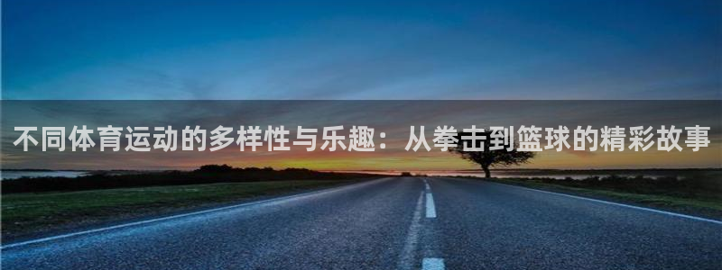 旧版光速体育：不同体育运动的多样性与乐趣：从拳击到篮球的精彩故事