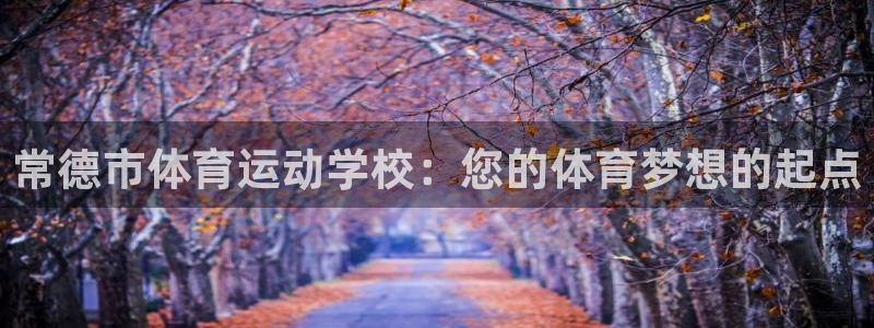 光速体育在线直播篮球