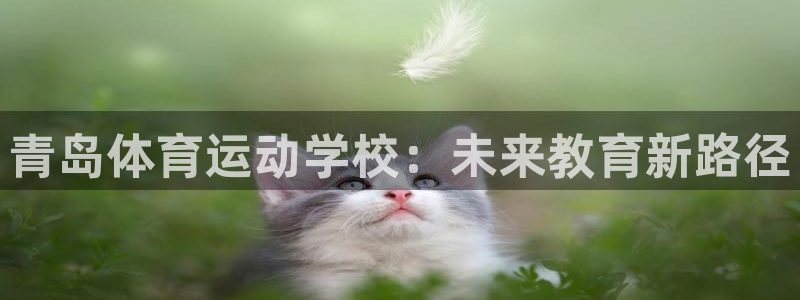 下载光速体育：青岛体育运动学校：未来教育新路径