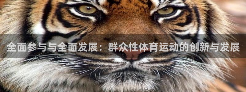 下载光速体育