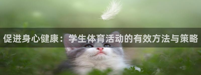 旧版光速体育：促进身心健康：学生体育活动的有效方法与策略