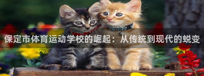 光速体育看NBA和cBA的软件