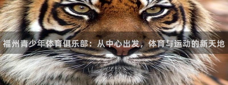 光速体育ios官方网站