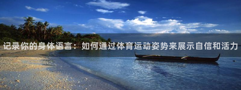 光速体育直播高清免费观看