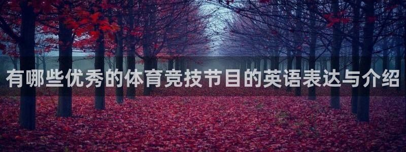 关键词