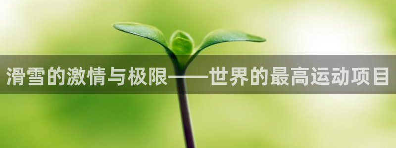 旧版光速体育：滑雪的激情与极限——世界的最高运动项目